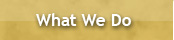 What We Do